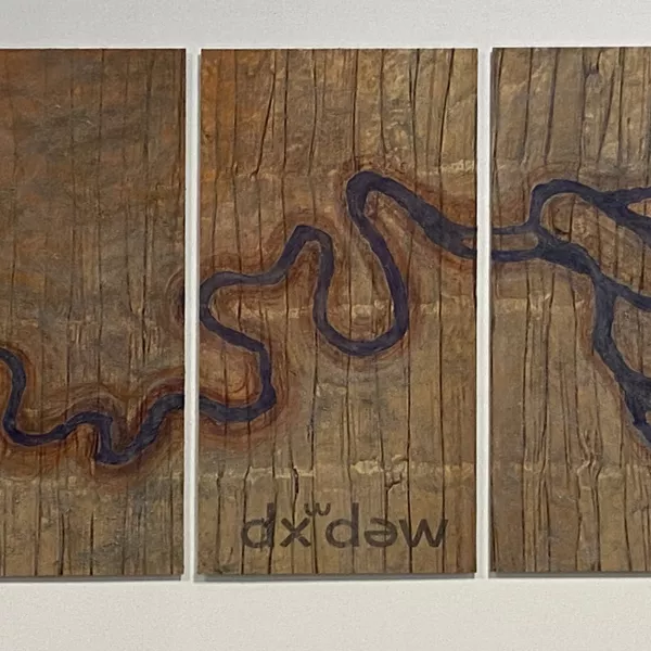 artistic rendering of the meandering curves of the Duwamish River across five panels