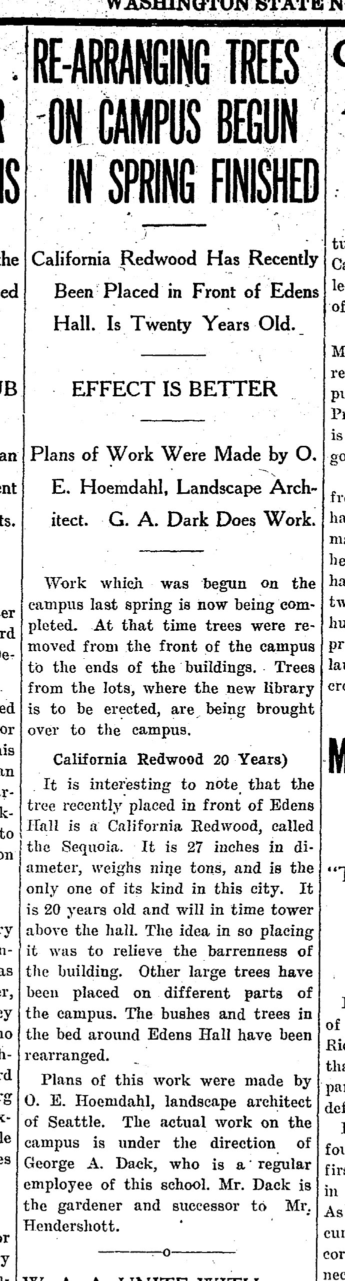1926 newspaper clipping with headlines &quot;Rearranging of Trees Begun in Spring Finished.&quot; &quot;California Redwood Has Recently Been Placed in Front of Edens Hall. Is Twenty Years Old&quot; &quot;EFFECT IS BETTER&quot;&quot; 