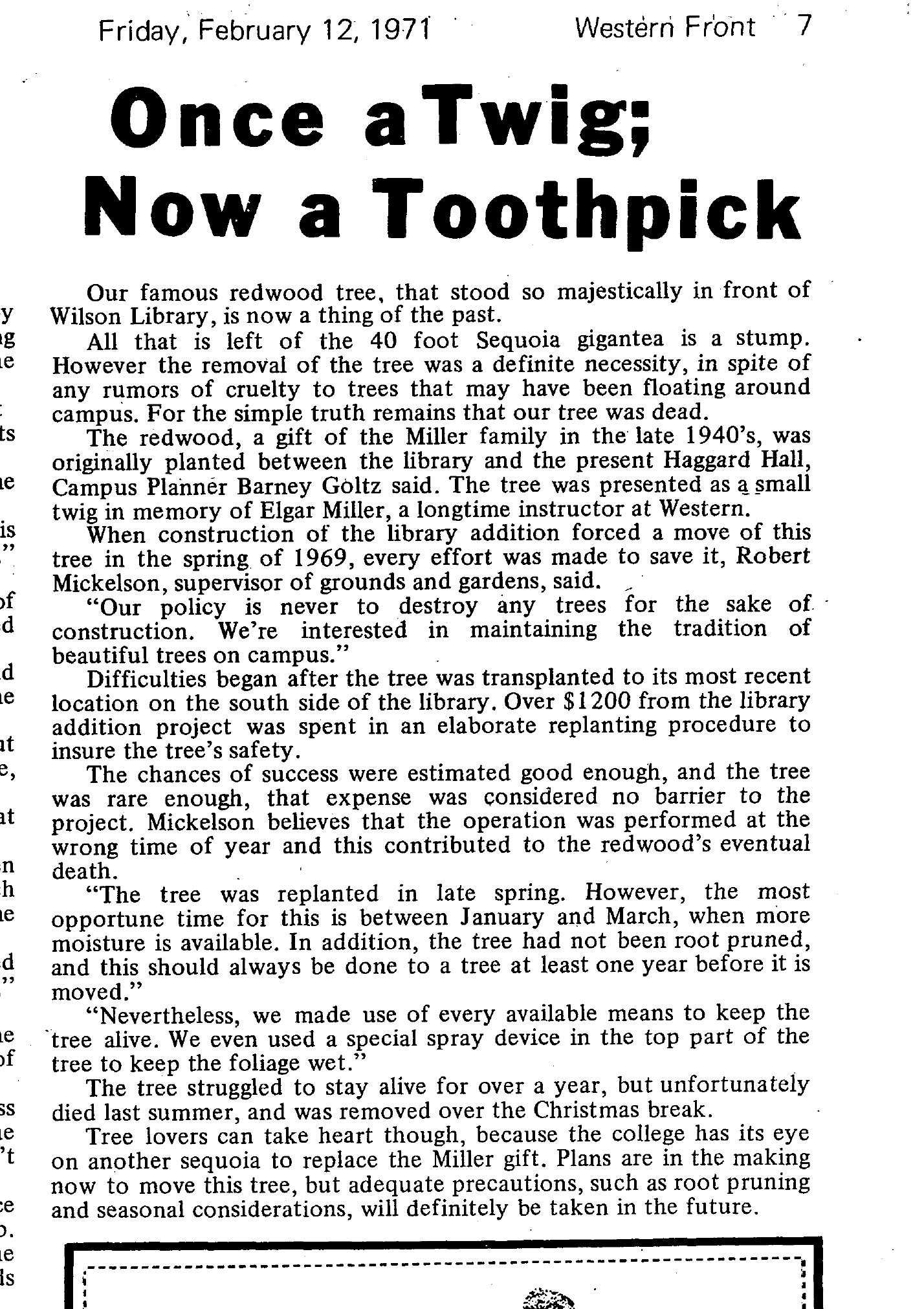 1971 Western Front newspaper clipping with the headline, &quot;Once a Twig; Now a Toothpick&quot;