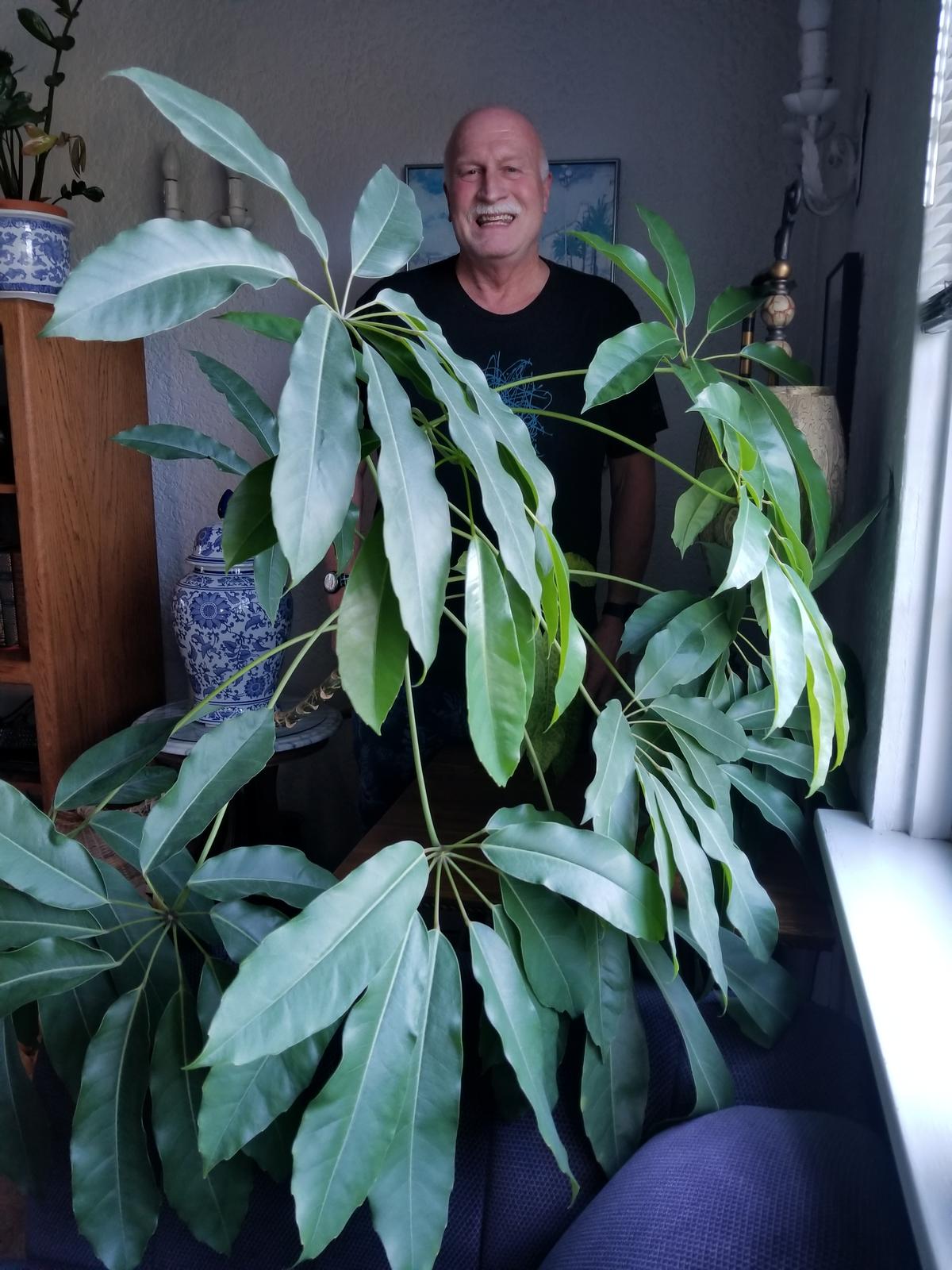 a man stands behind a humongous, broad-leafed plant that is as tall as him