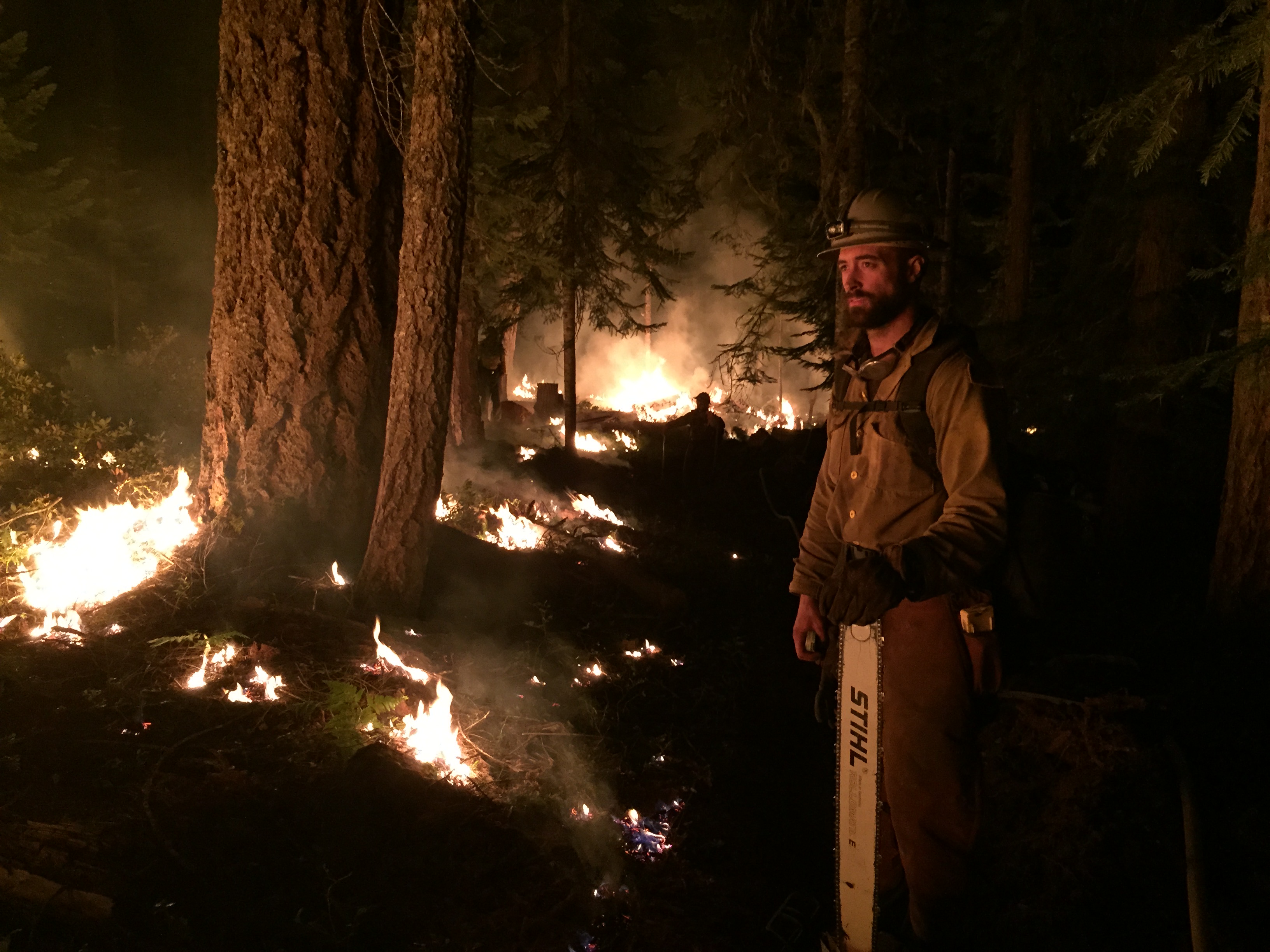 A firefighter holding a chainsaw watches flames consume underbrush