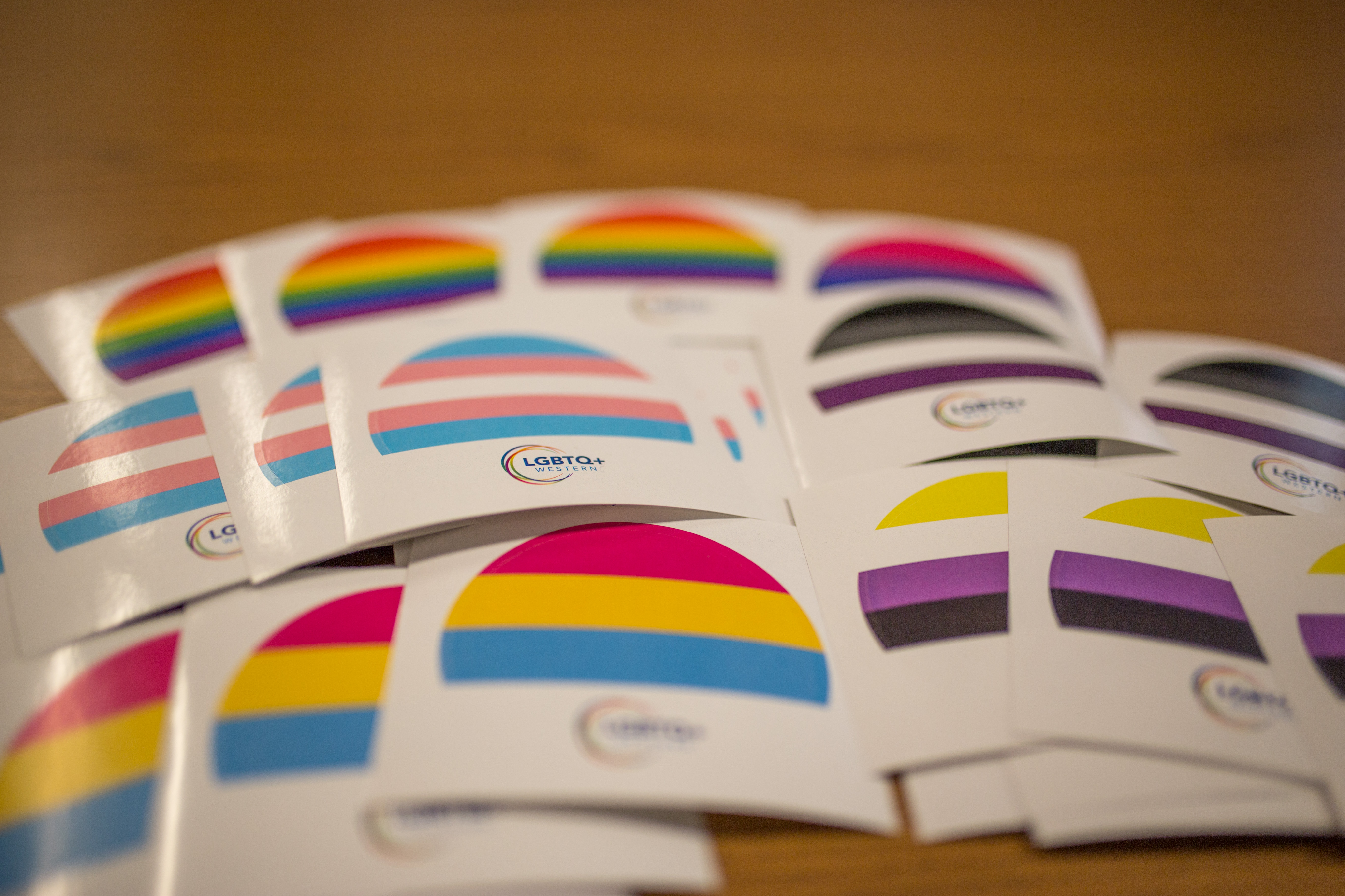 A collection of stickers Pride stickers with the LGBTQ+ Western logo