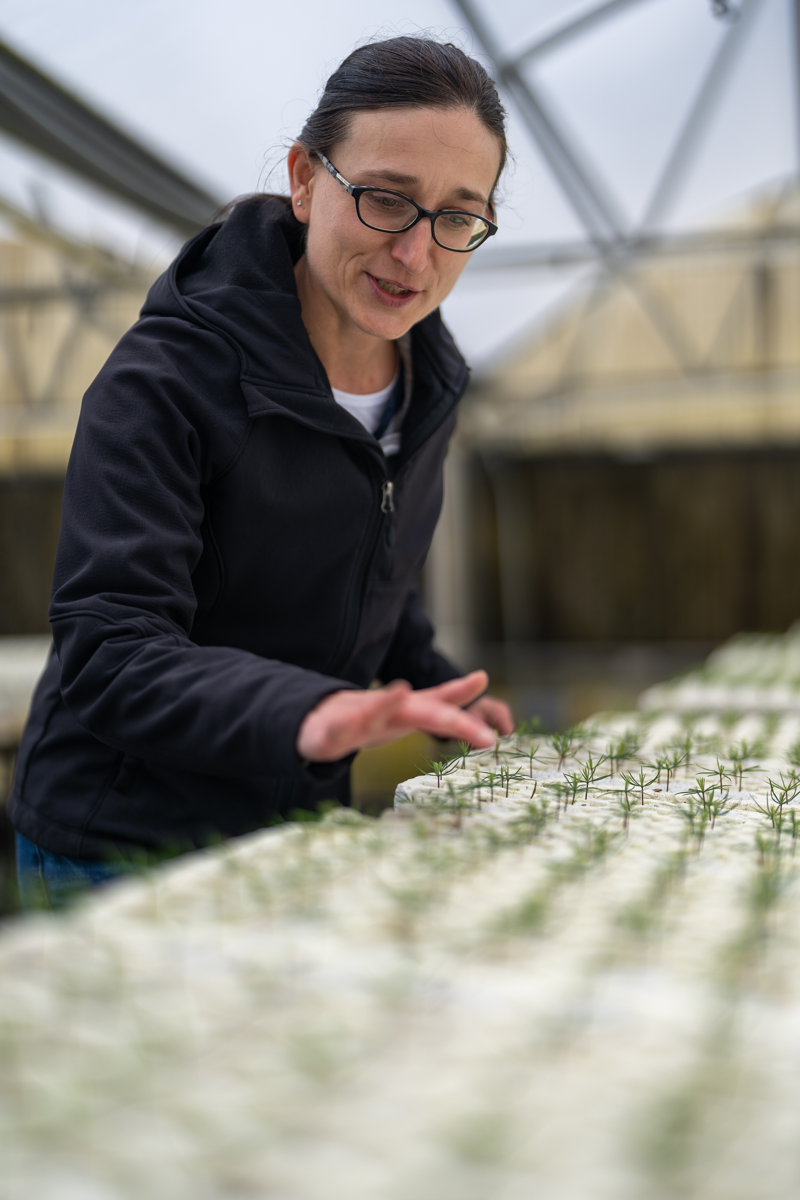 Kea Woodruff touches the tops of rows of seedlings 