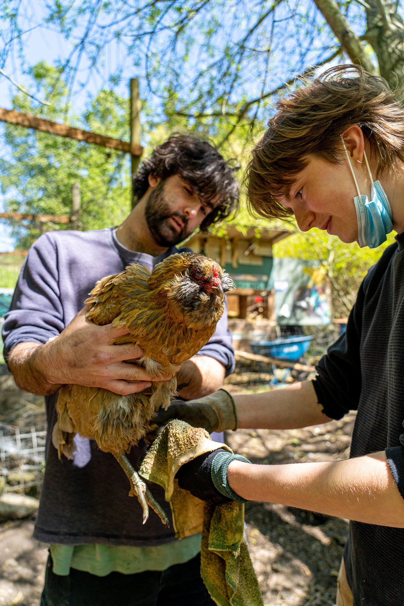 Two students hold a chicken