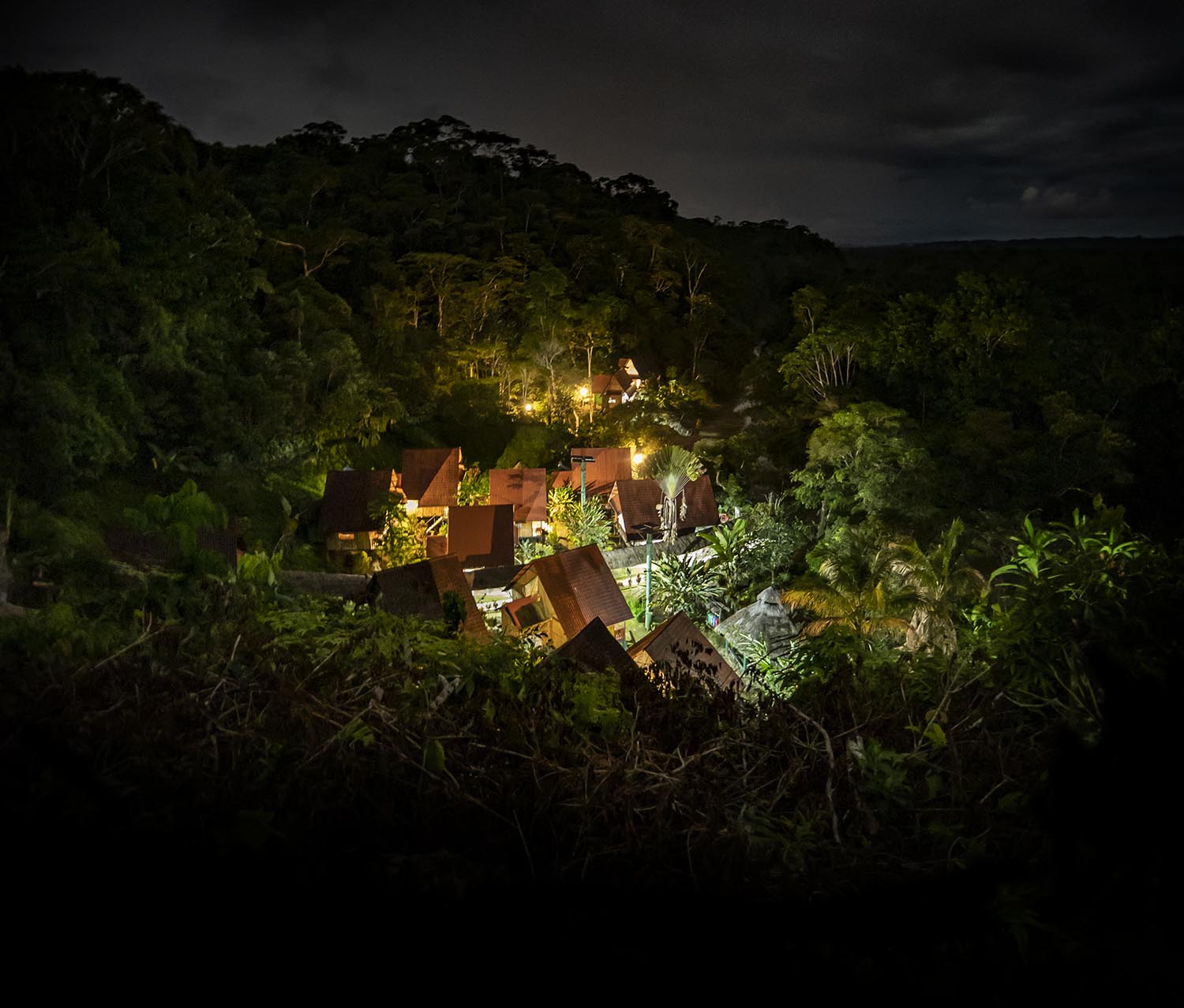 A collection of small buildings surrounded by thick jungle lit up at night