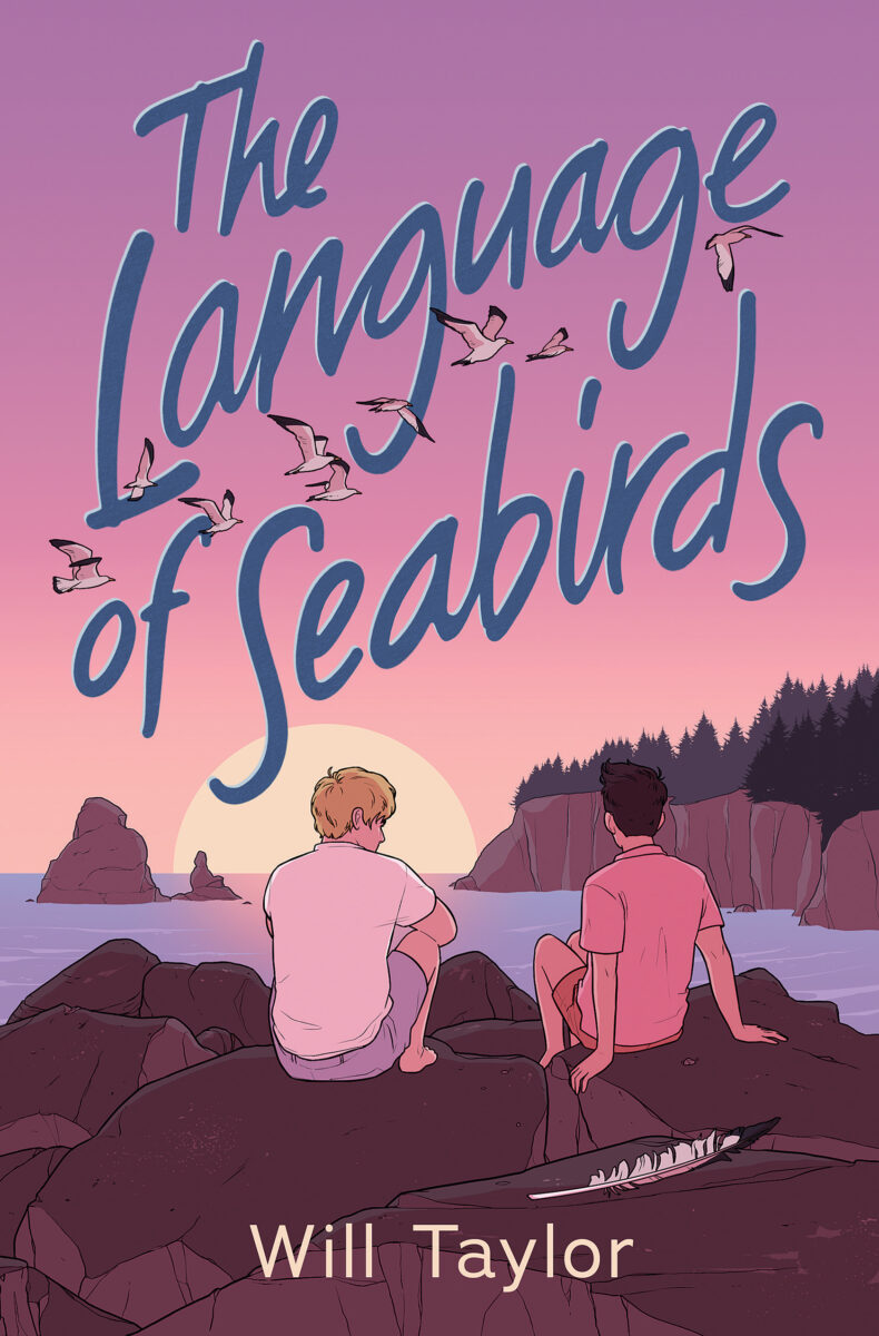 book cover of The Language of Seabirds depicts two boys sitting together on the beach at sunset 