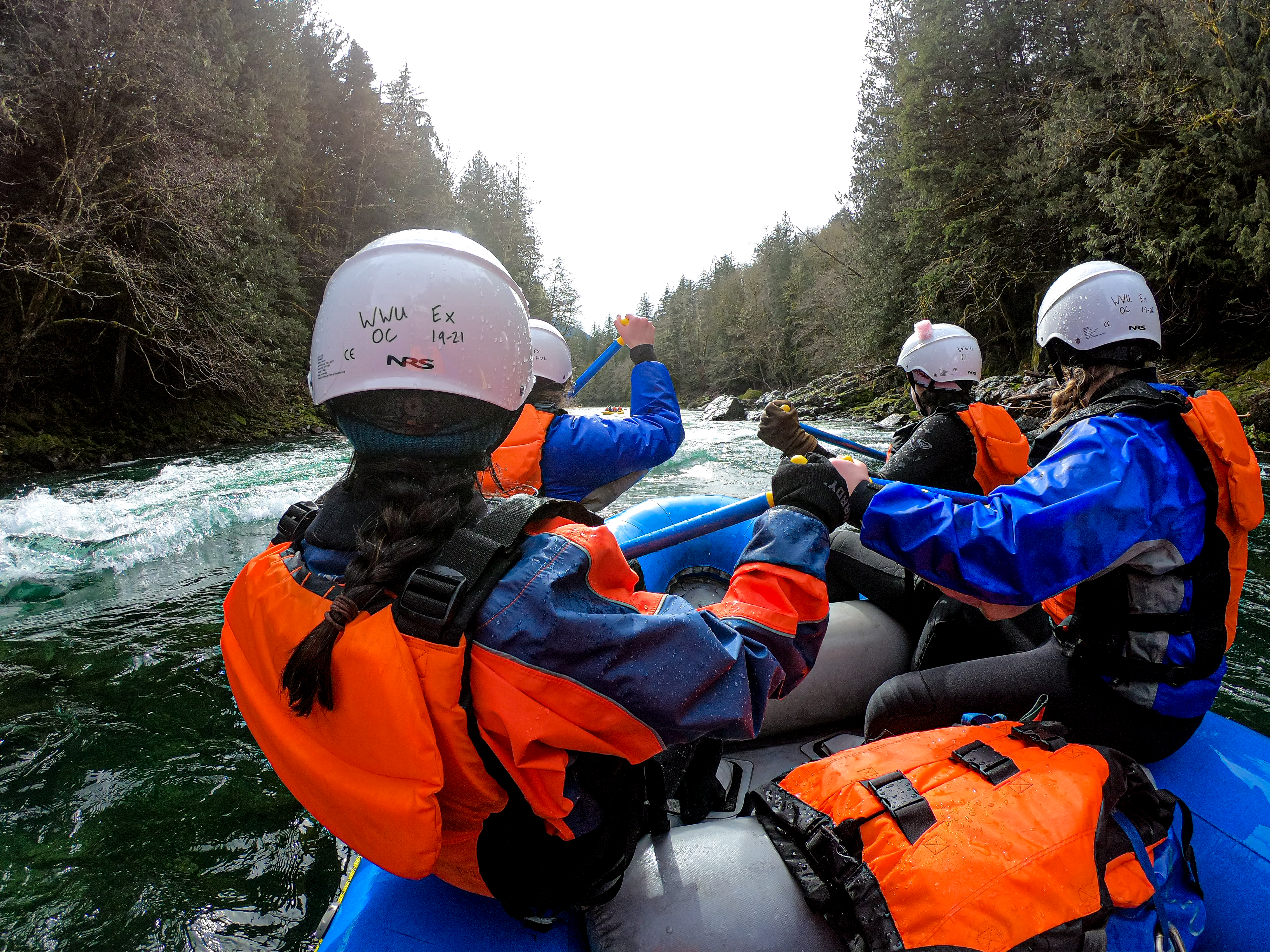 four students wearing helmets, personal flotation devices and waterproof gear paddle an inflatable raft through rapids on the Skagit River