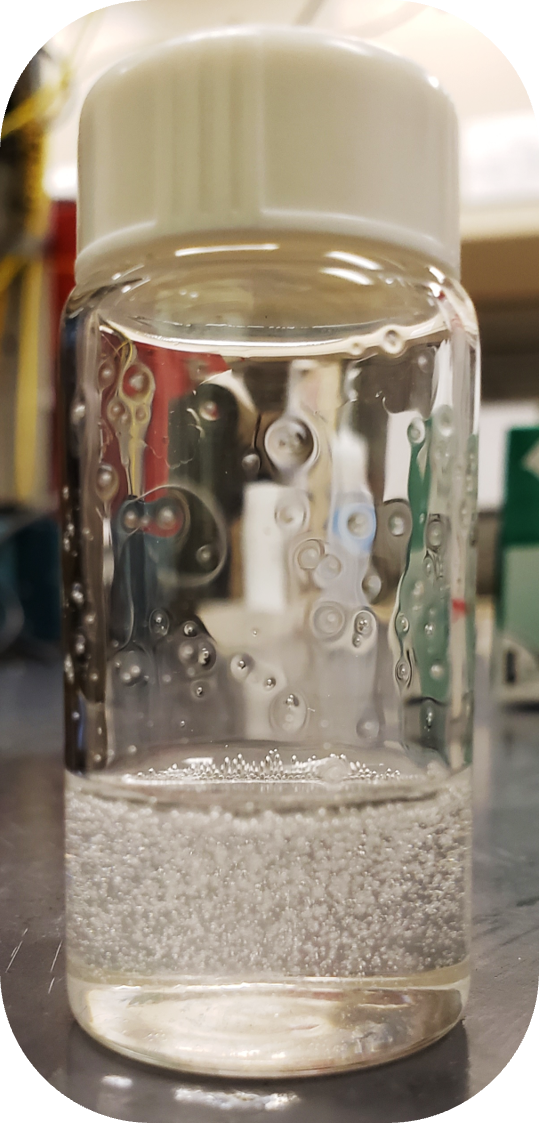 A sample tube containing clear liquid and tiny white pellets