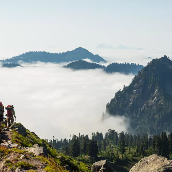 Student researchers backpack to the top of a rocky peak and look out over a forested valley enshrouded in mist 