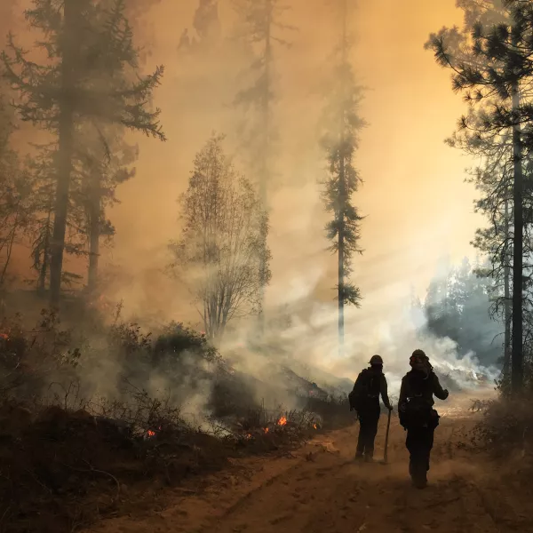 Two fire fighters walk through the smoky haze of a burning forest.