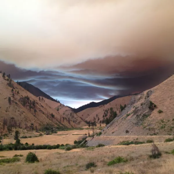 A thick blanket of smoke appears to float over a grassy hillside. 