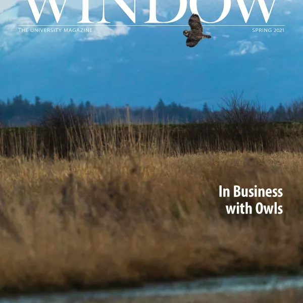 Owl flying over a field on the Spring 2021 Window cover