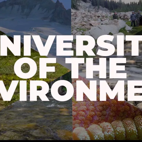University of the Environment