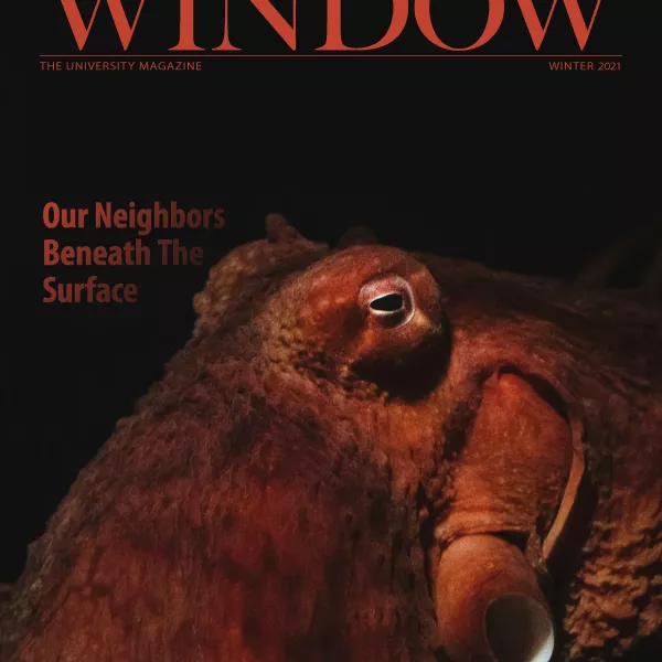 Octopus on the cover of Winter 2021 Window