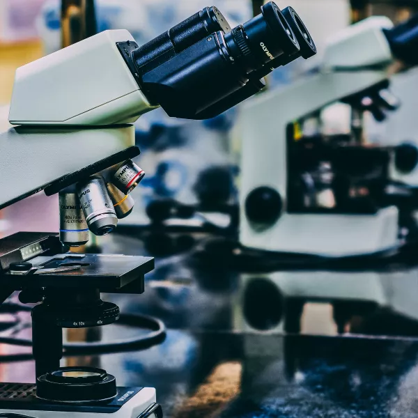 microscopes sit on a lab bench 