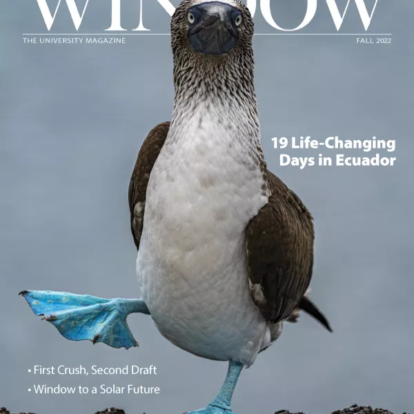 cover photo of a blue-footed booby