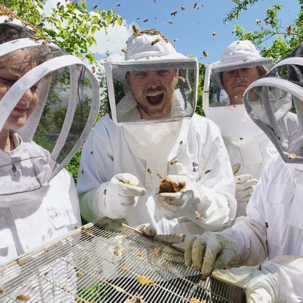 students in bee keeping attire are surrounded by swirling honebees 