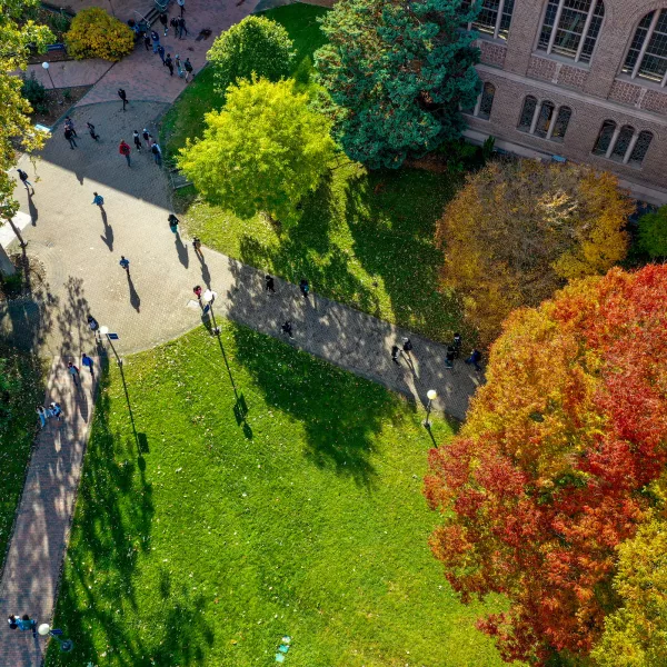 aerial view of the walkways, trees and lawn around Wilson Library on a sunny, fall day.