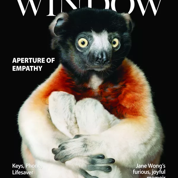cover photo of a wide-eyed lemur, sitting on its rump with this front legs wrapped around its 'knees,' in a very human-like position.
