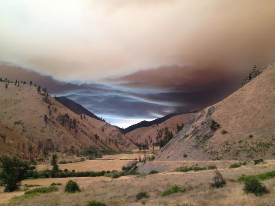 A thick blanket of smoke appears to float over a grassy hillside. 