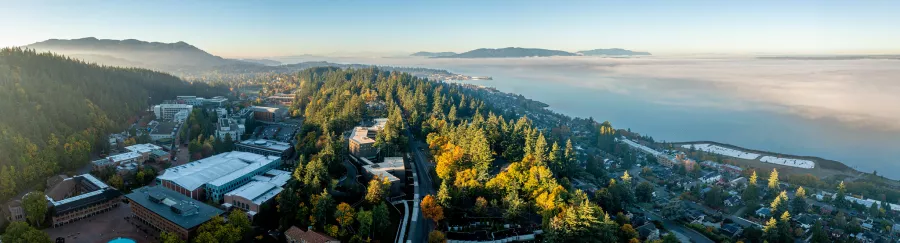 Western's campus as viewed from the sky, with trees highlighted by golden morning light