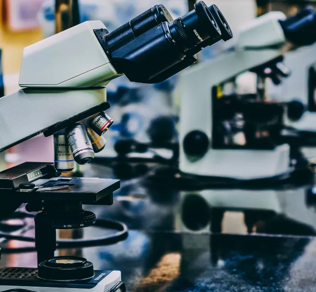 microscopes sit on a lab bench 