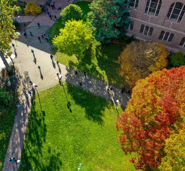 aerial view of the walkways, trees and lawn around Wilson Library on a sunny, fall day.